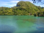 Pemandangan laguna berwarna hijau toska berlatar bukit karang