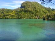 Pemandangan laguna berwarna hijau toska berlatar bukit karang