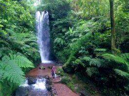 suasana asri dikelilingi pepohonan di curug sadim