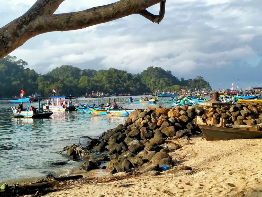Aktivitas nelayan di Pantai Sendangbiru