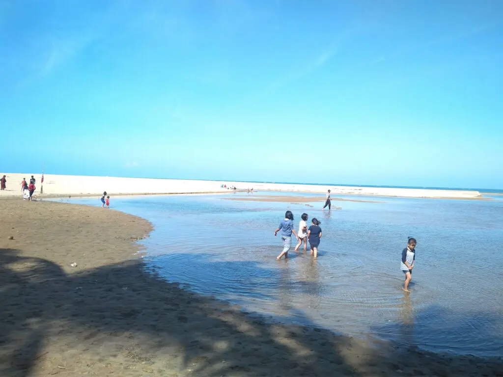 wisatawan sedang bermain di tepi pantai
