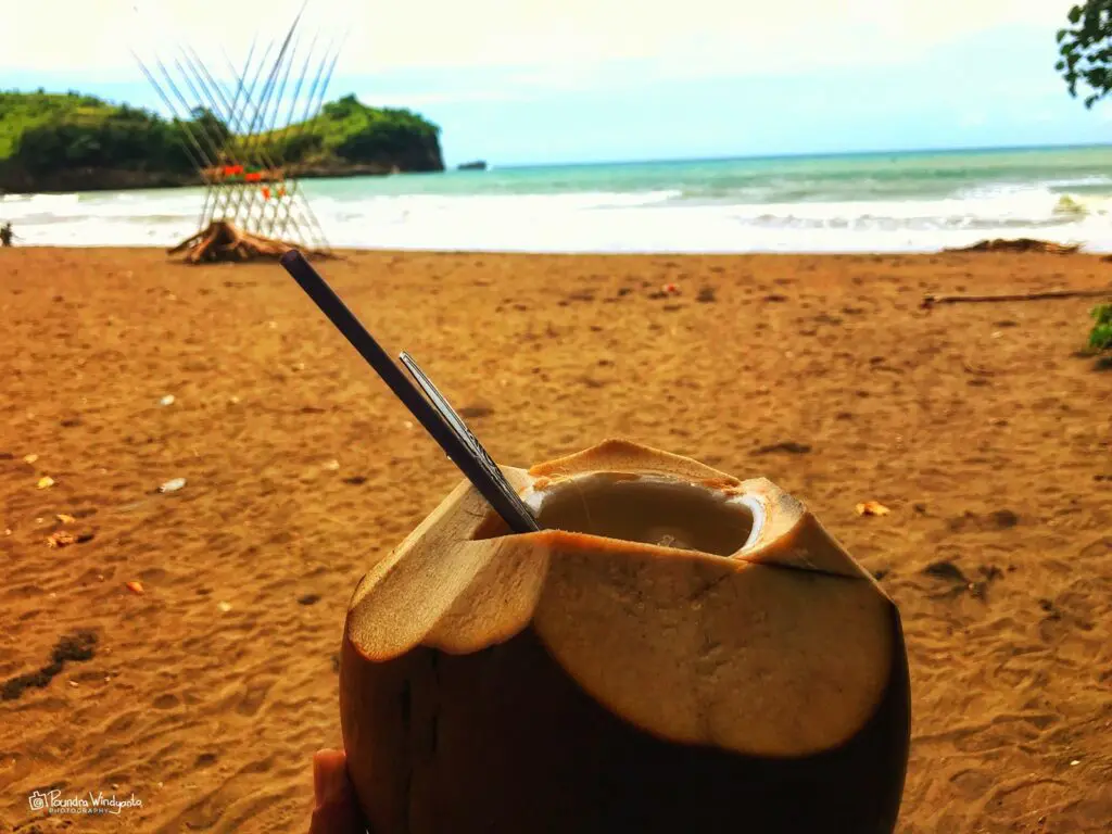 Pengunjung menikmati kelapa muda di pinggir pantai