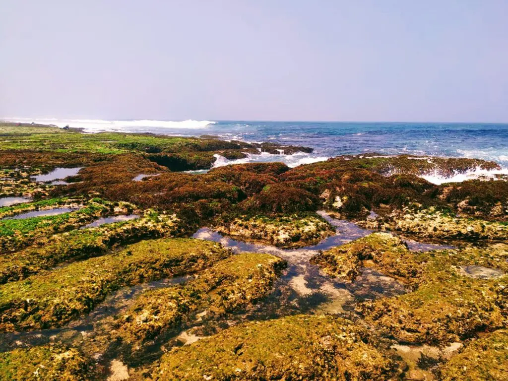 Formasi batu karang di sekitar bibir Pantai Melasti menghadap langsung ke Samudera Hindia
