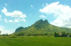 Gunung Budheg dilihat dari area persawahan