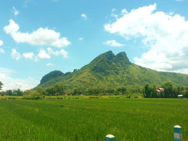 Gunung Budheg dilihat dari area persawahan