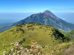 Bentang alam gunung merbabu