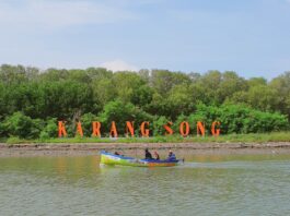 area hutan mangrove di sekitar pantai karangsong