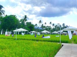 area hijau tengah sawah svargabumi borobudur