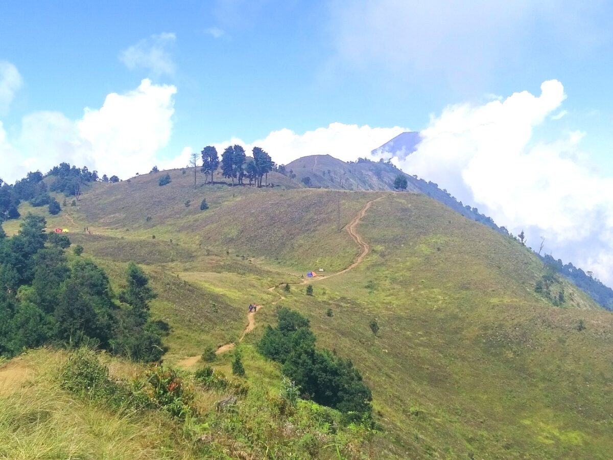 Area perbukitan hijau menuju gunung prau