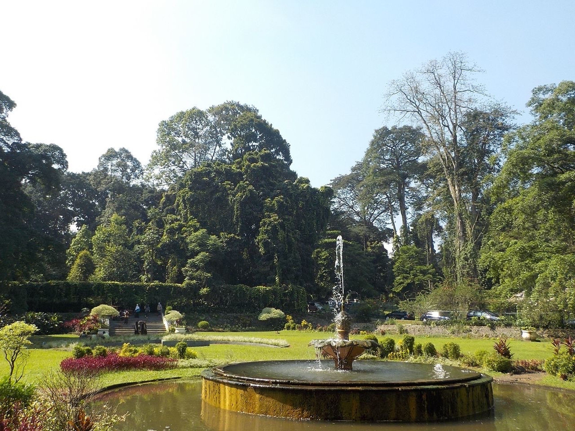 Indahnya taman di Kebun Raya Bogor salah satu pilihan taman terlengkap tempat wisata di Bogor