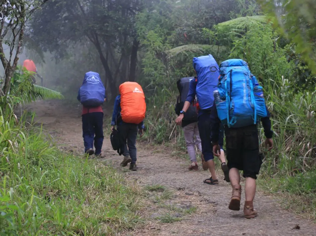Pendaki berjalan memasuki kawasan hutan Gunung Ciremai