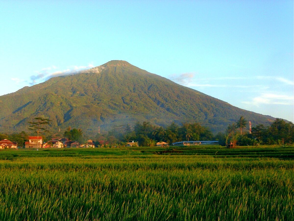 panorama sawah gunung ciremai