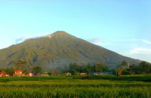 panorama sawah gunung ciremai