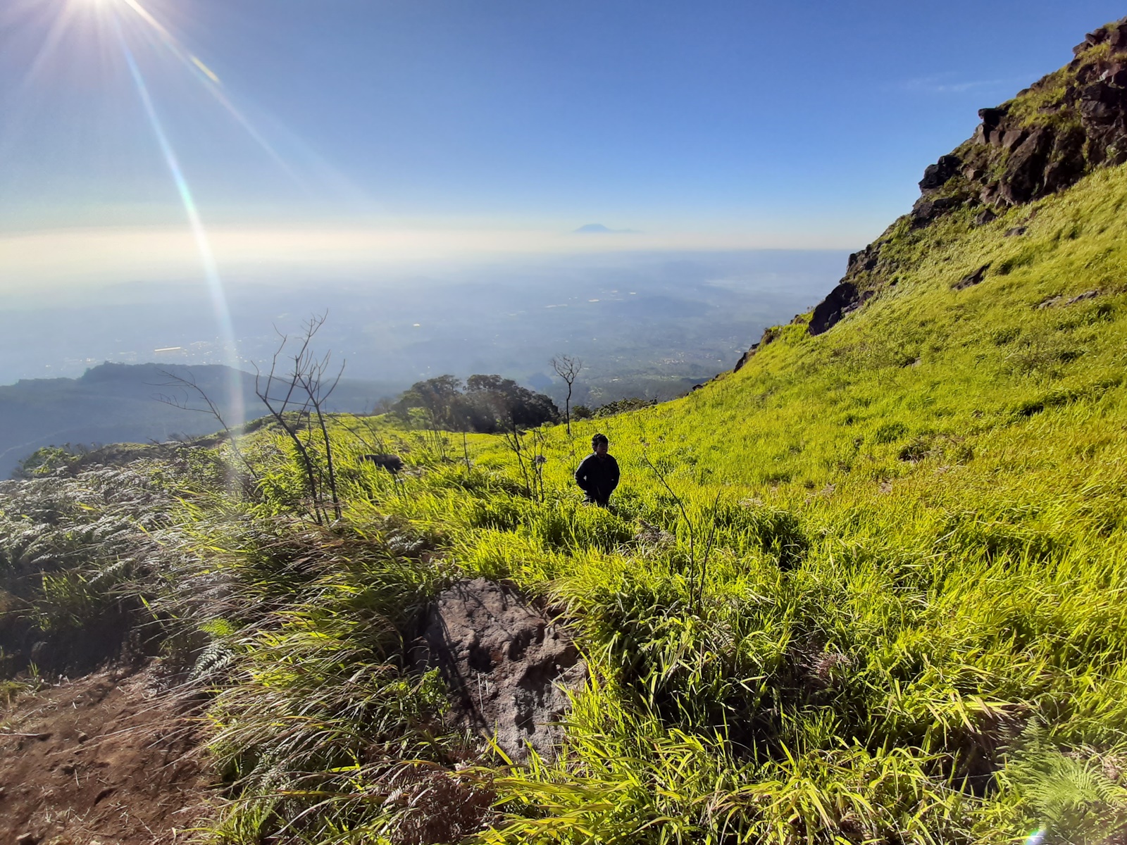 Pendaki melintasi padang rumput dan semak di kawasan puncak Gunung Ungaran
