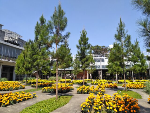 Indahnya Plaza Marigold