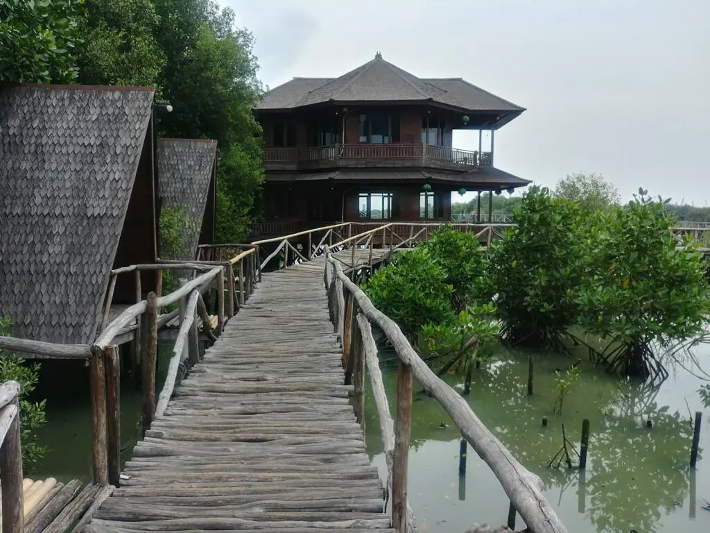 Taman Wisata Mangrove salah satu tempat wisata di jakarta bertemakan alam