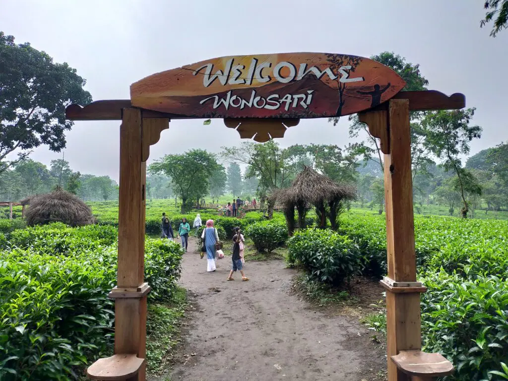 Kebun Teh Wonosari tempat wisata di Malang yang masih sejuk asri