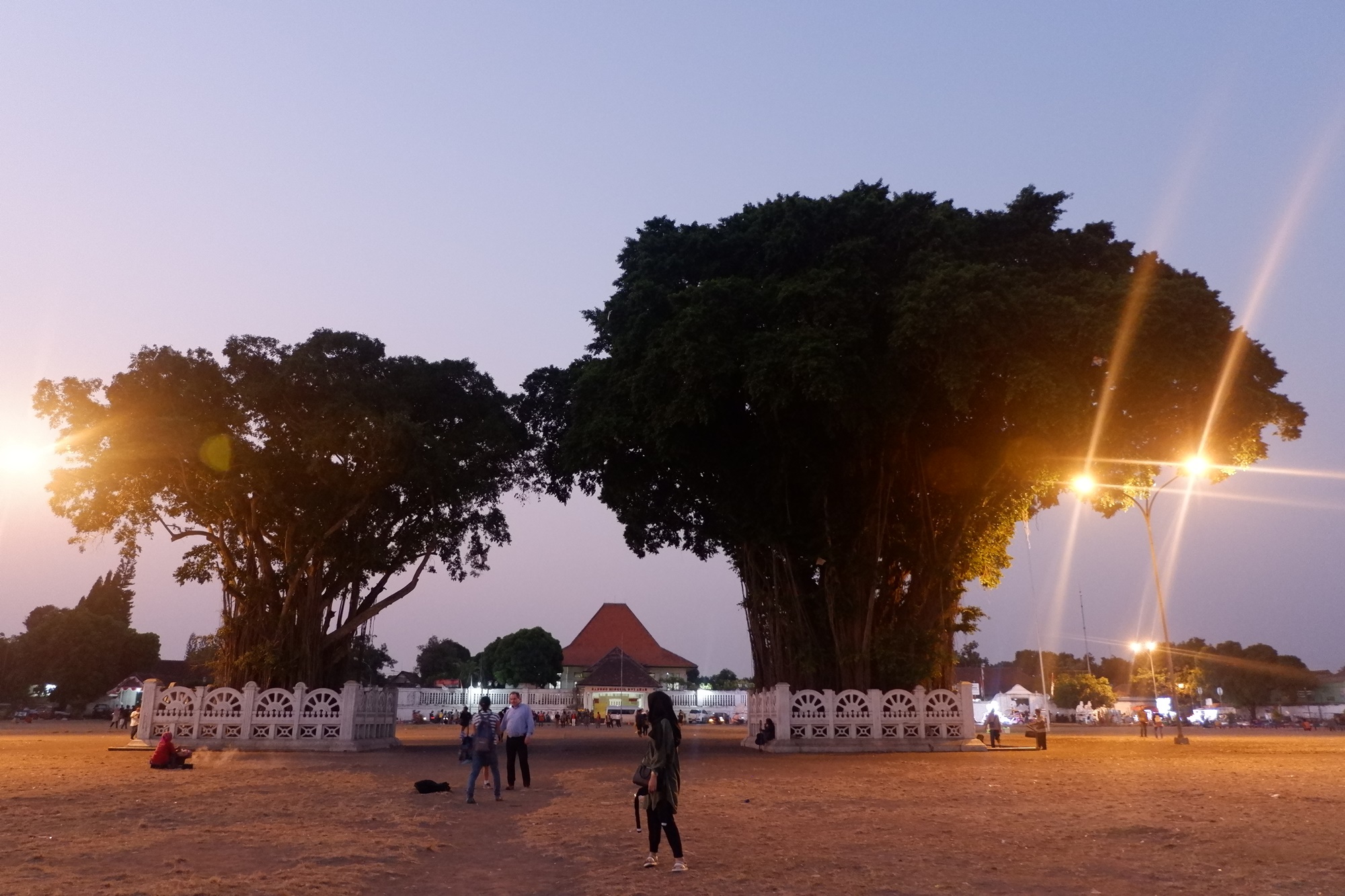Pohon beringin di Alun-Alun Kidul Tempat wisata di Jogja berada di tengah kota