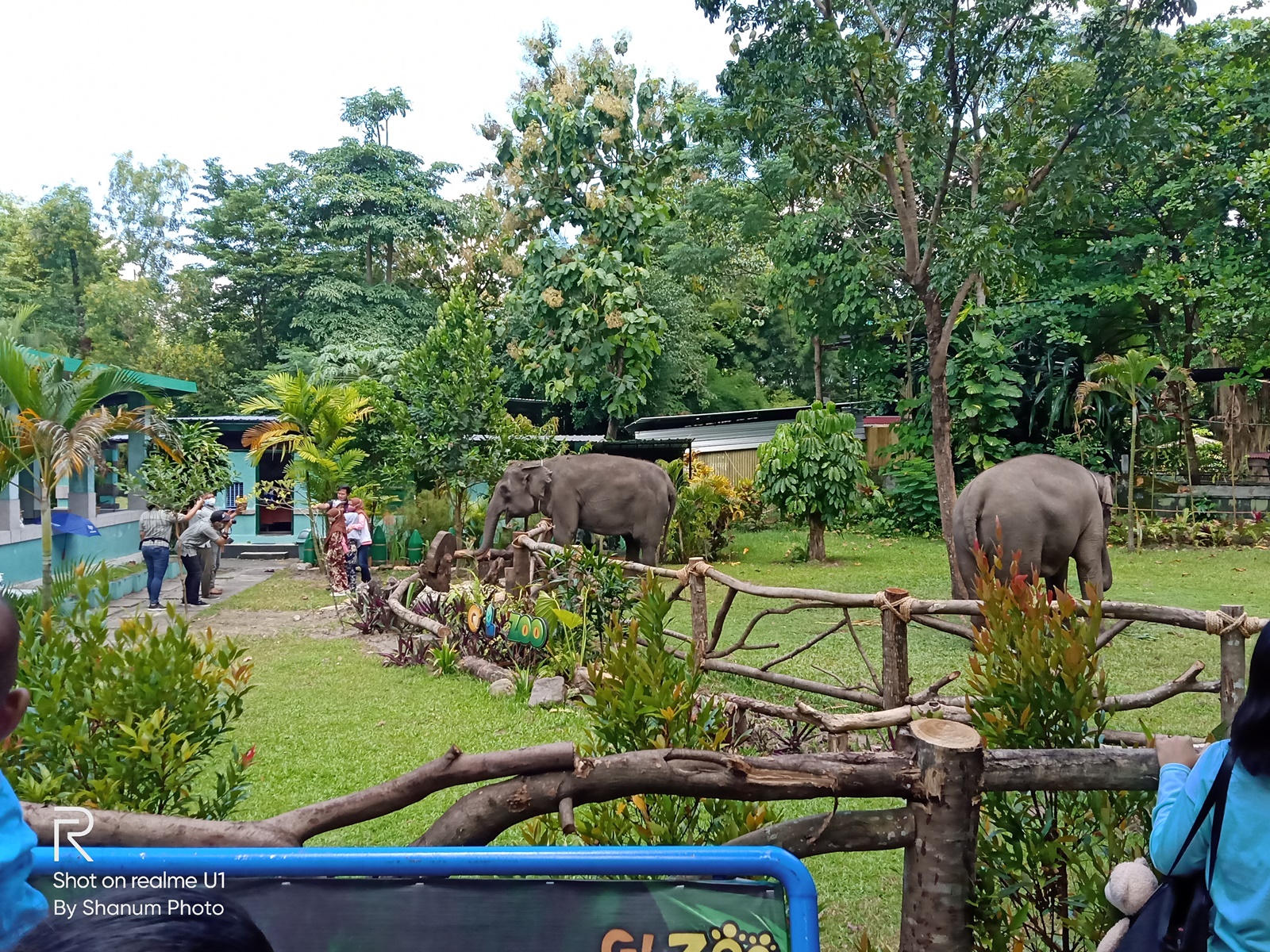 Gembira Loka Zoo Tempat wisata di Jogja yang populer di kalangan masyarakat