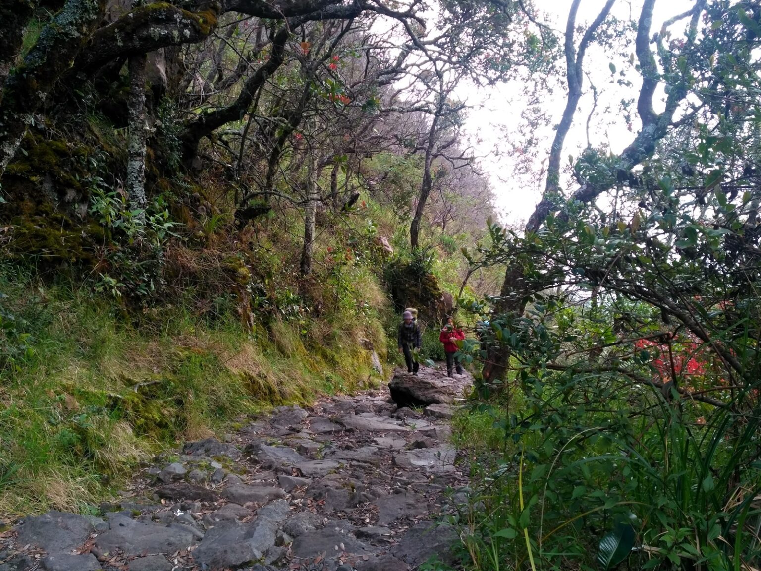 GUNUNG LAWU Tiket & 5 Jalur Pendakian - September 2024