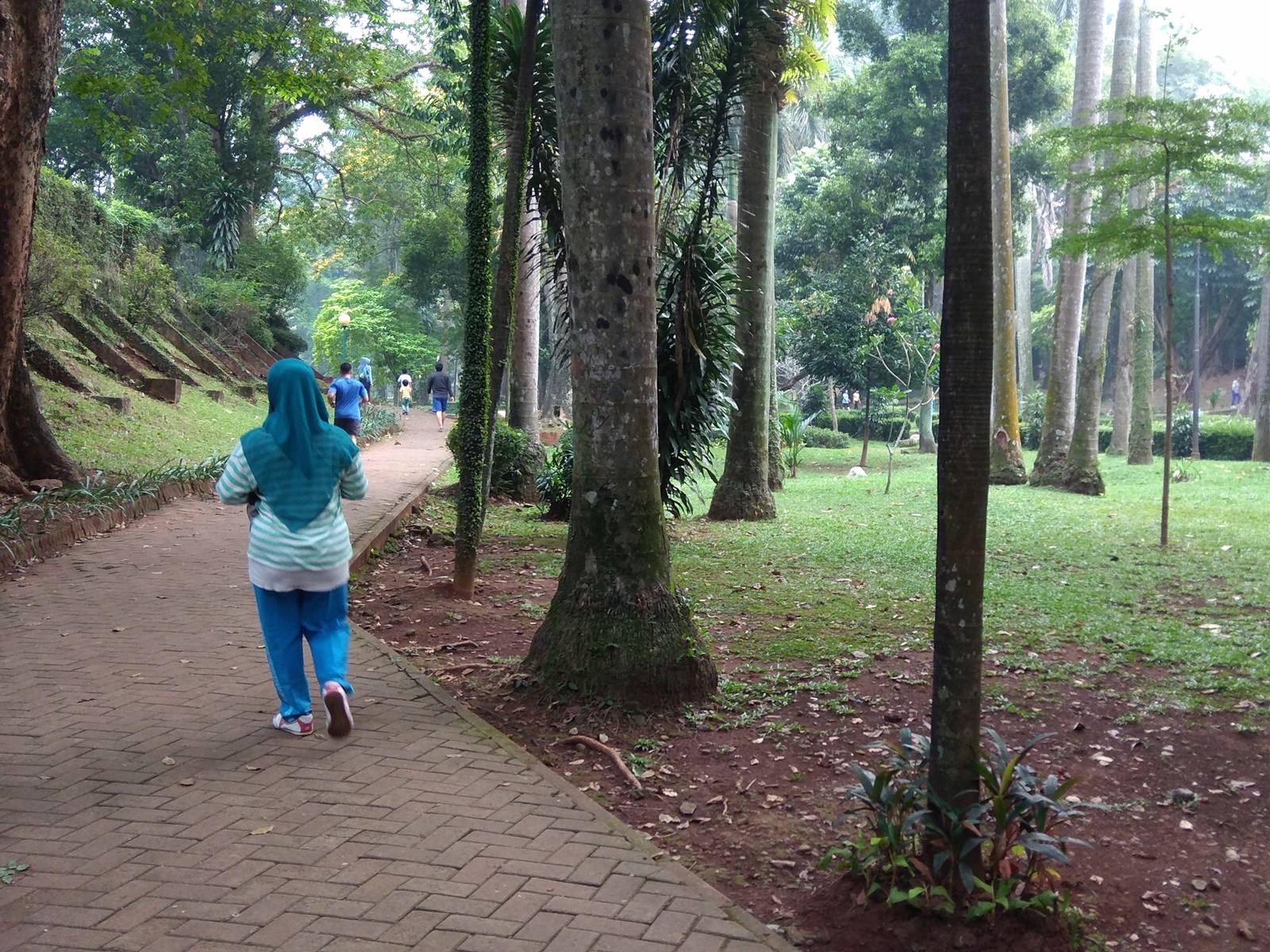 Jogging Track yang terlindung rimbunnya pepohonan