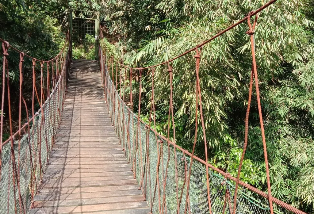 Spot foto bernuansa alam bebas di Jembatan Goyang