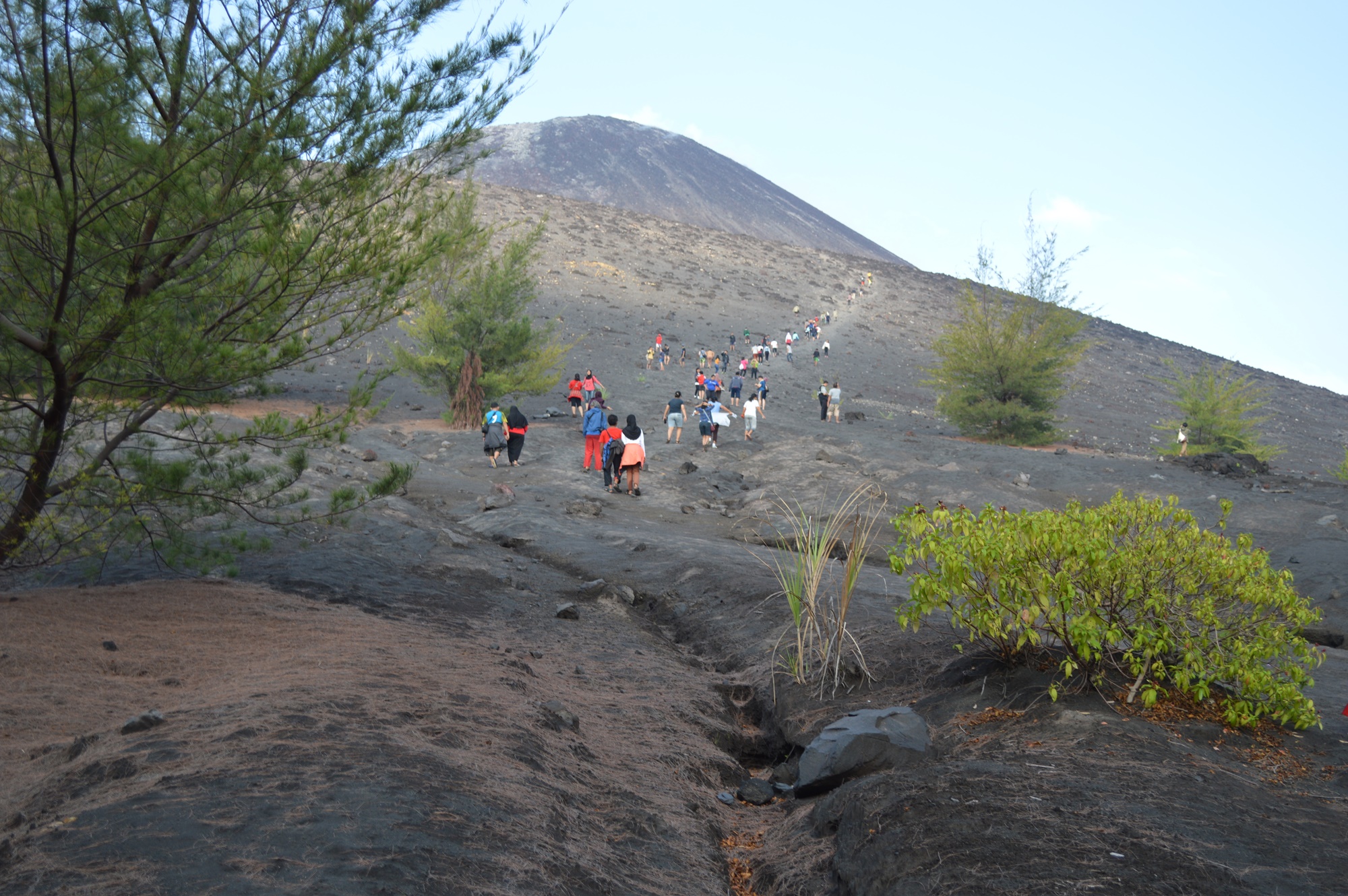 Kelompok wisatawan mendaki ke puncak Gunung Anak Krakatau