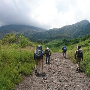 Pendaki menyusuri jalur hiking Guntur