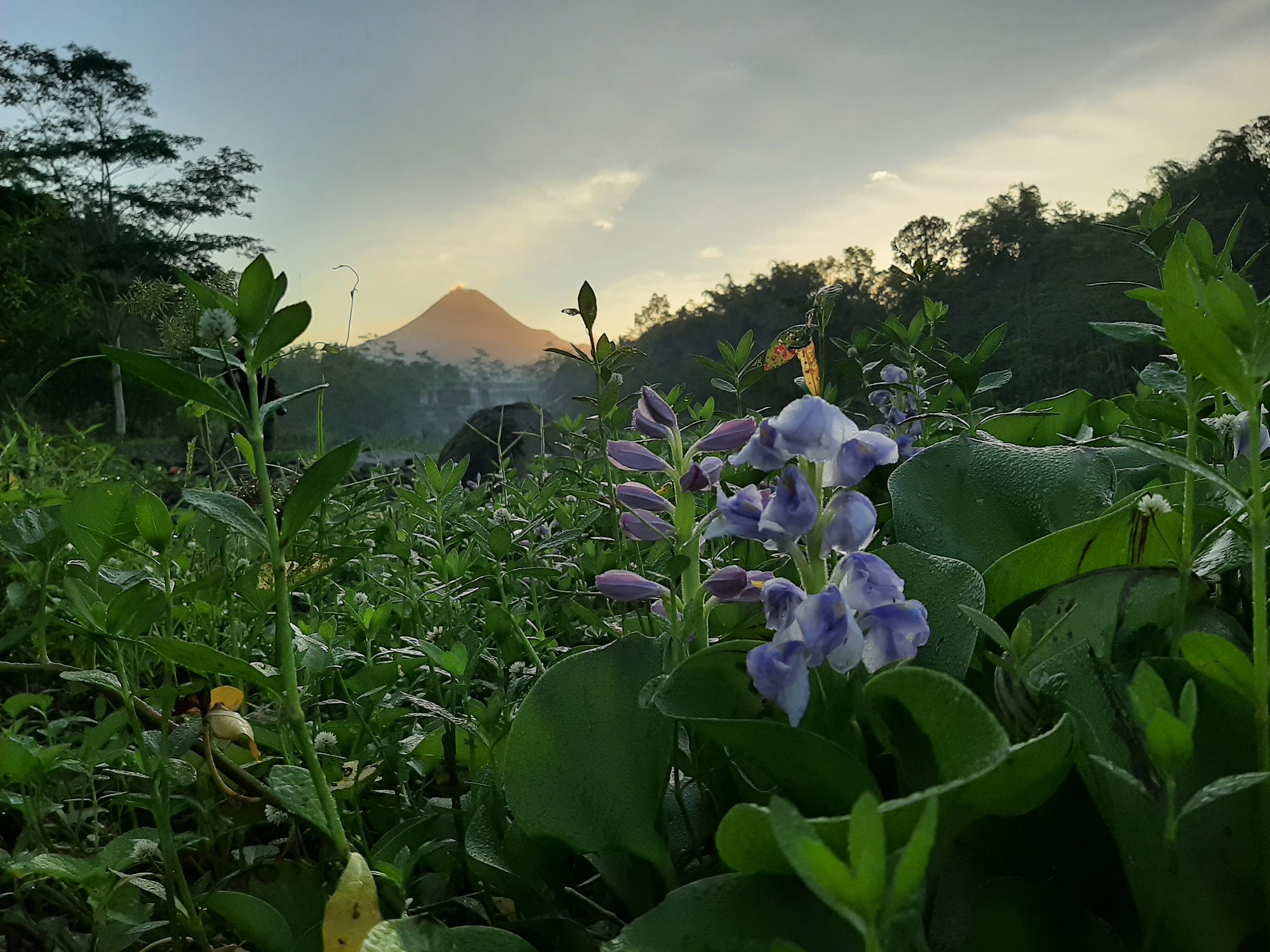 Siluet Gunung Merapi yang Agung