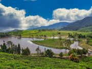 Panorama Telaga Saat