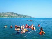 wisatawan sedang berenang dan snorkeling di pantai palangpang