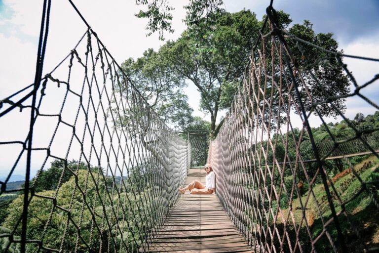 Foto di atas jembatan gantung