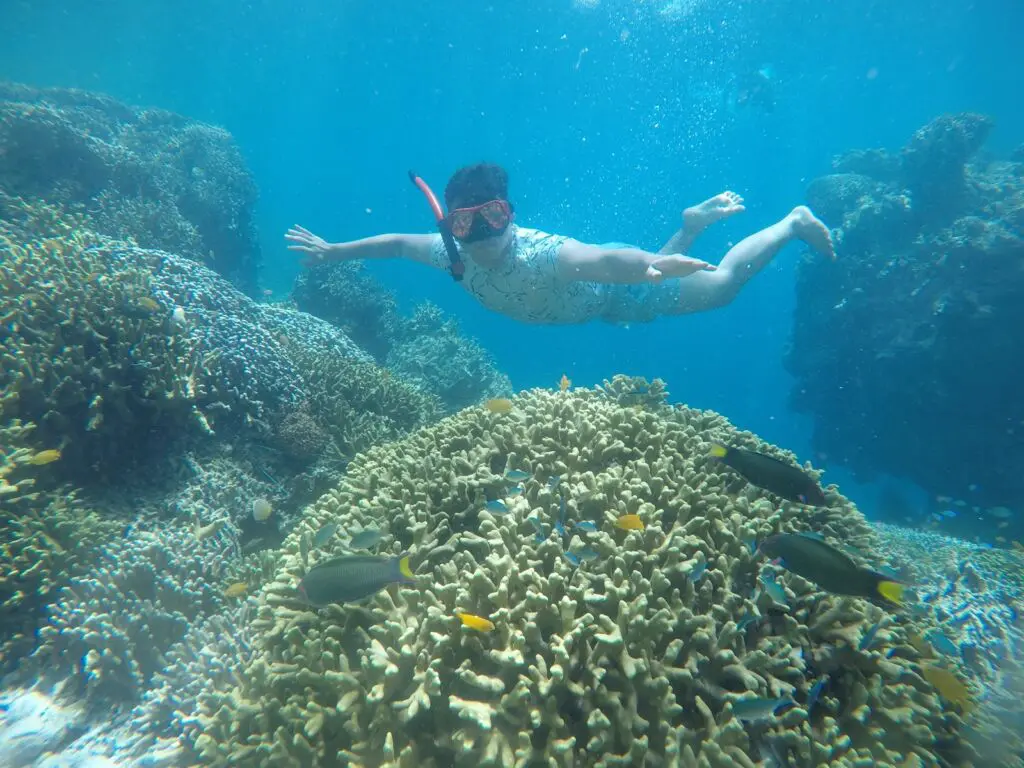 WIsatawan berfoto di antara terumbu karang