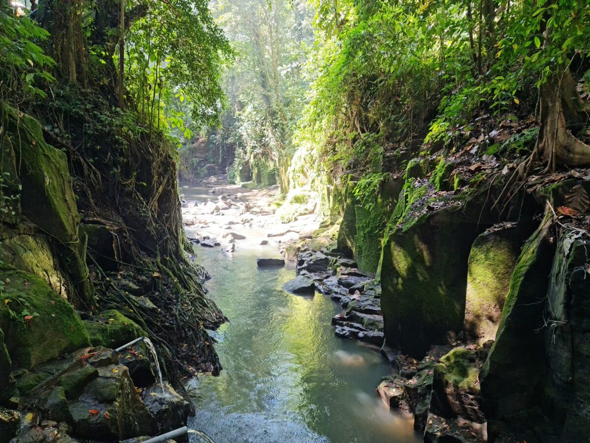 Suasana teduh dan sejuk