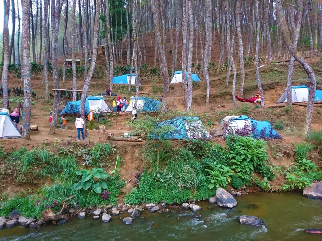 Wahana camping ground di tengah hutan pinus rahong