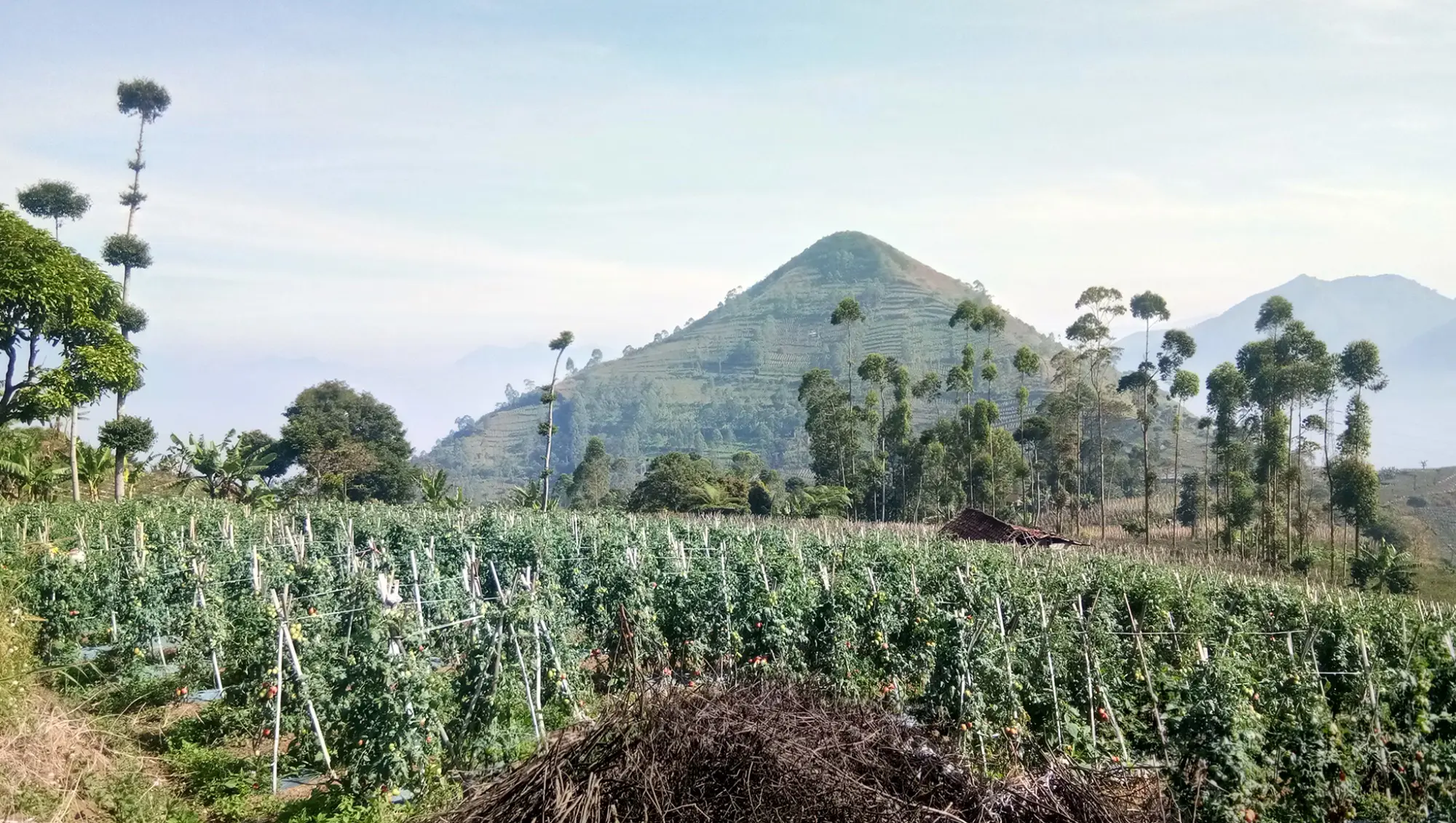 Gunung berbentuk kerucut sempurna