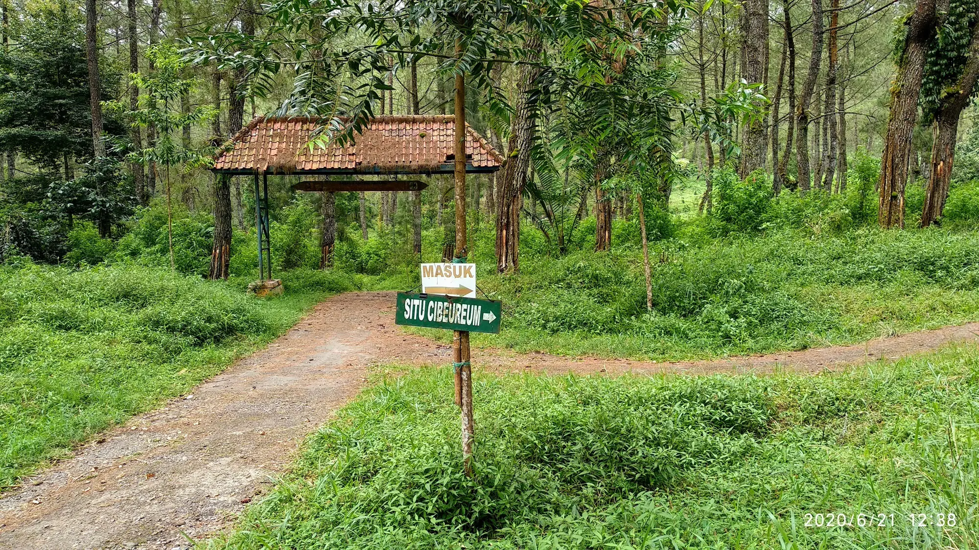 Jalan menuju danau