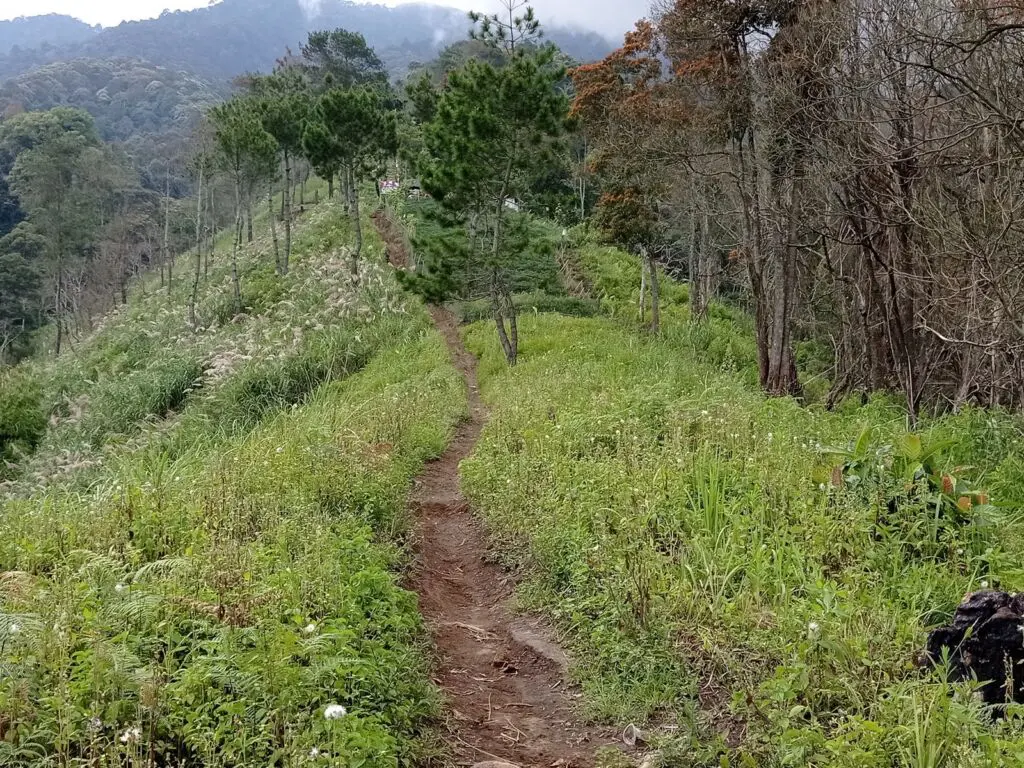 jalur tajur berupa jalan setapak di punggung bukit