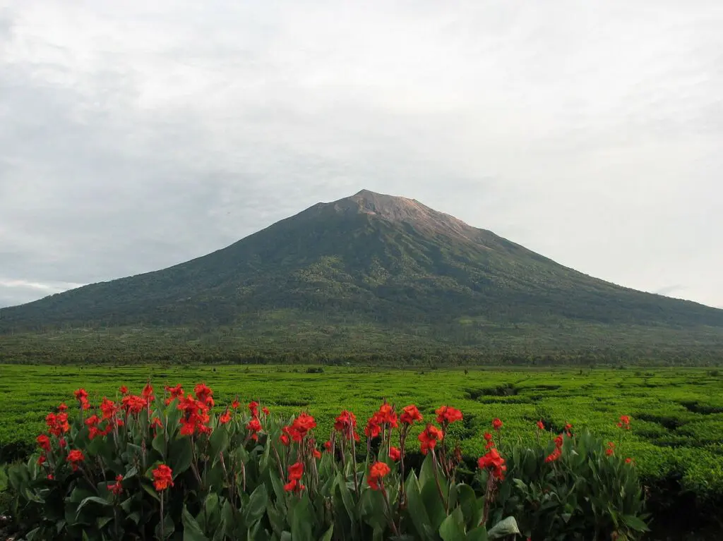 Gunung Kerinci di antara Provinsi Sumatera Barat dan Jambi