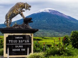 Jalur pendakian Kersik Tuo di Gunung Kerinci