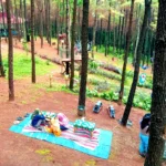 Kawasan wisata Bukit Pinus Wonosalam