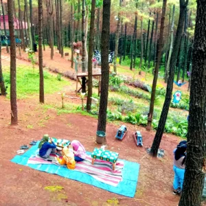 Kawasan wisata Bukit Pinus Wonosalam