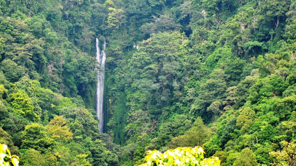 Pemandangan Coban Glotak dari Kejauhan