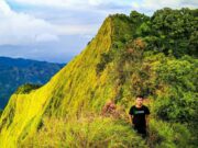 pemandangan alam dari puncak Gunung Muria