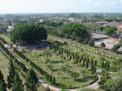 Pohon Beringin di tengah Alun-alun Lumajang