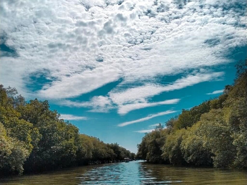 Sungai di Pantai Glagah yang membelah hutan mangrove