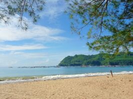 Area tepi pantai sine berpasir putih