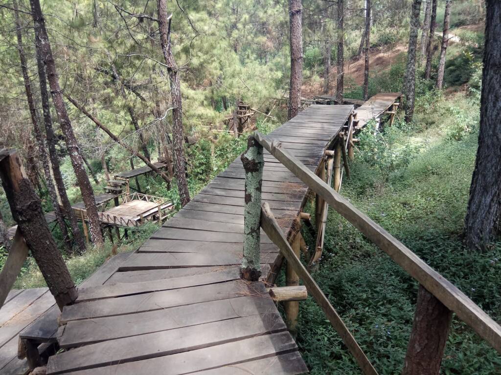 Jembatan Instagenik di Hutan Pinus di Coban Parang Tejo
