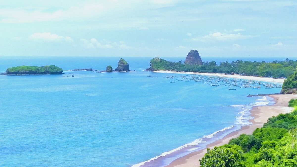 Kawasan sekitar pantai papuma jember