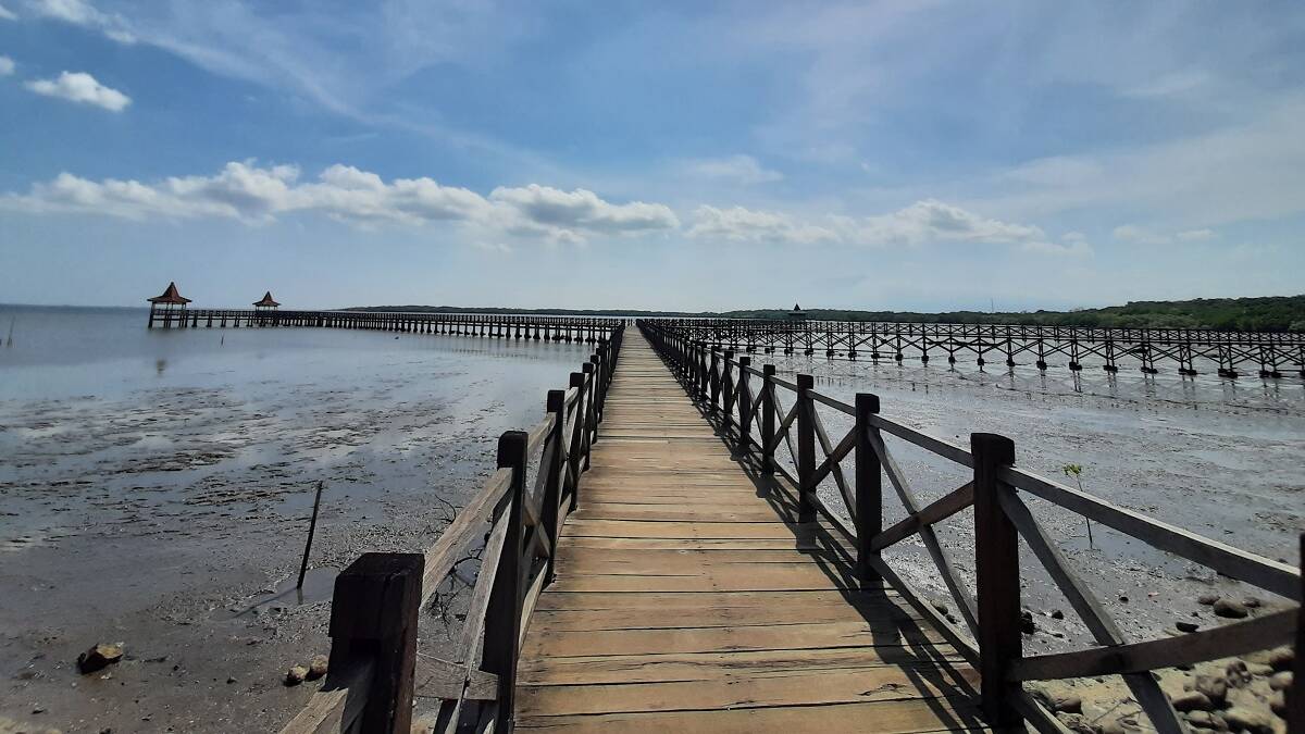jembatan kayu pantai bentar ke arah laut menuju hutan bakau